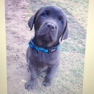 Meet your Posher, Ashlyn